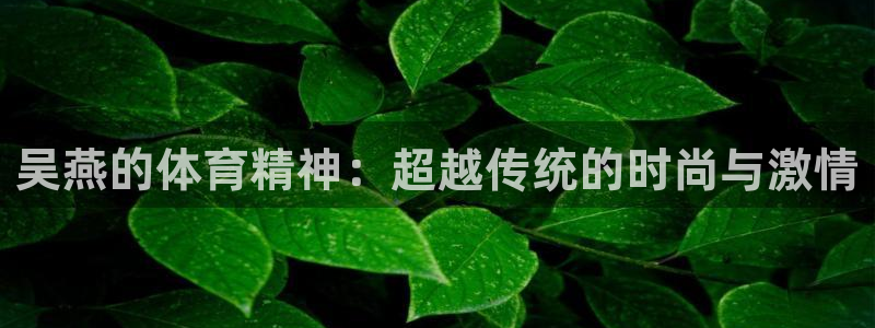 xc体育app官方网站：吴燕的体育精神：超越传统的时尚与激情