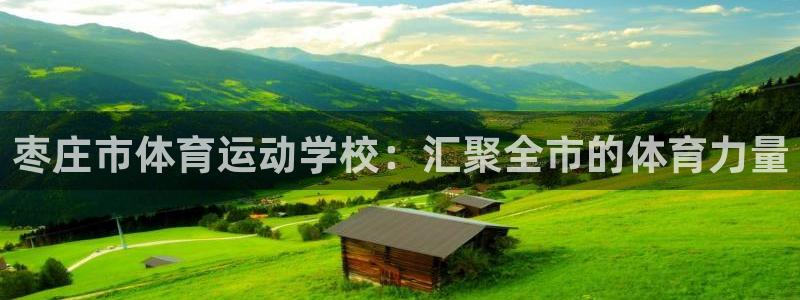 xc体育app官方网站：枣庄市体育运动学校：汇聚全市的体育力量