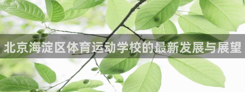 xc体育：北京海淀区体育运动学校的最新发展与展望