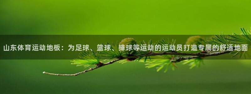 xc体育app官方网站：山东体育运动地板：为足球、篮球、排球等运动的运动员打造专属的舒适地面