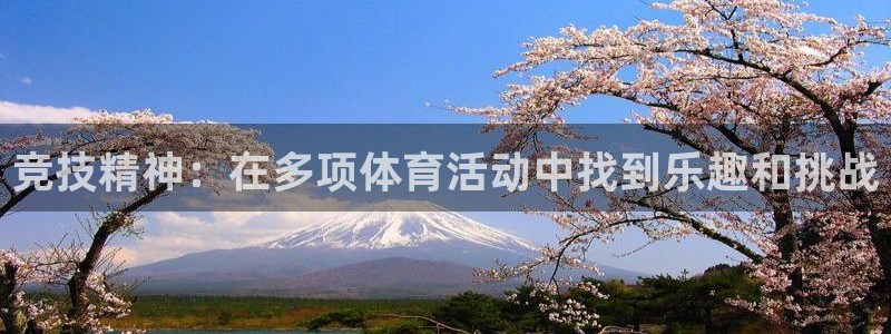 xc体育app官方网站：竞技精神：在多项体育活动中找到乐趣和挑战