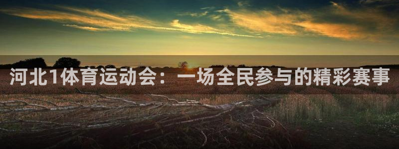 xc体育app官方网站：河北1体育运动会：一场全民参与的精彩赛事
